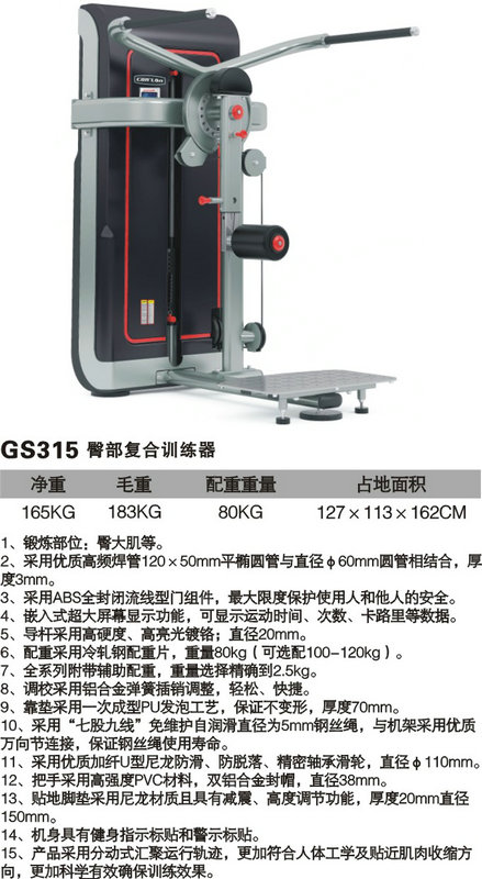 GS315